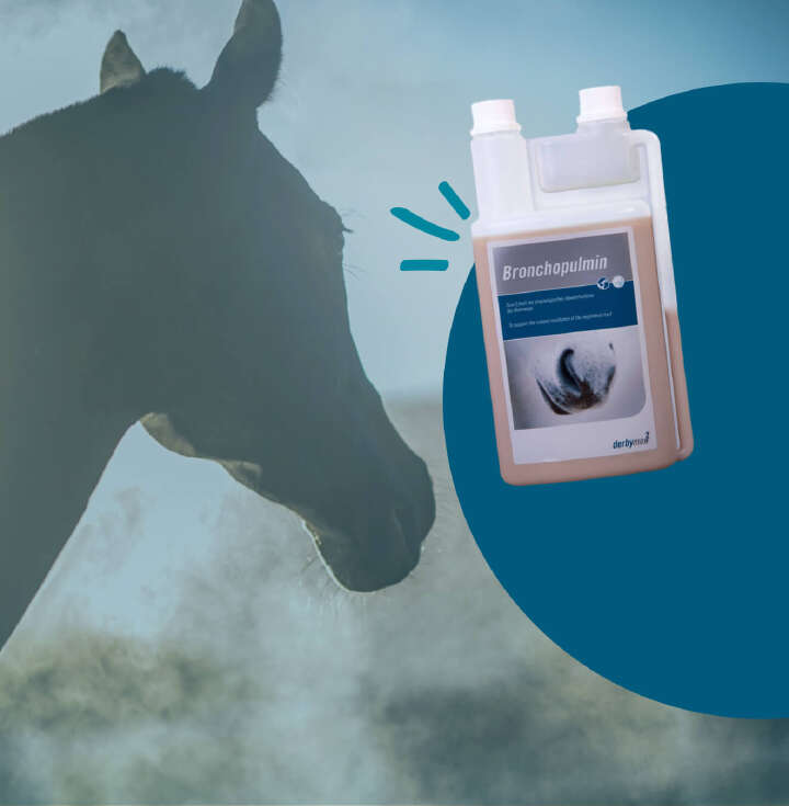 startseitenbanner bronchopulim